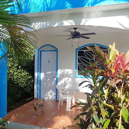 Chambre Bungalow2 Las Terrenas Bagian luar foto