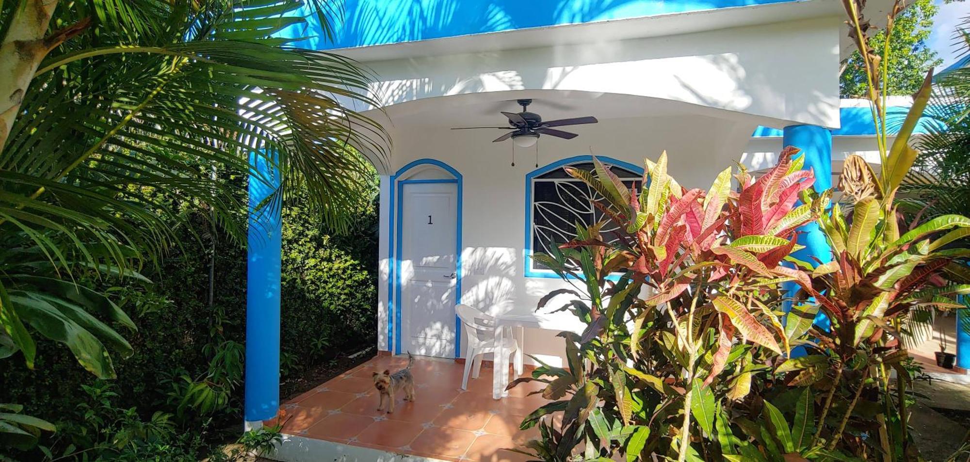 Chambre Bungalow2 Las Terrenas Bagian luar foto